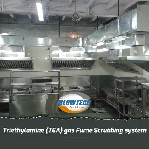 Triethylamine (TEA) gas Fume Scrubbing System